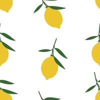 Fresh lemon tropical fruit seamless pattern vector