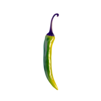 AI generated Fresh chilli isolated on transparent background png