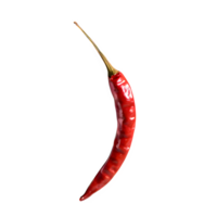 AI generated Dried red chili or chilli cayenne pepper isolated on transparent background png