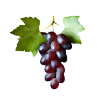 ai generado Fresco rojo uva con hojas aislado en transparente antecedentes png