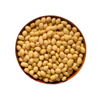 AI generated Roasted soybeans isolated on transparent background png