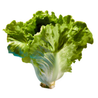 AI generated Fresh lettuce isolated on transparent background png