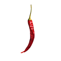 AI generated Dried red chili or chilli cayenne pepper isolated on transparent background png