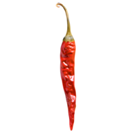 AI generated Dried red chili or chilli cayenne pepper isolated on transparent background png