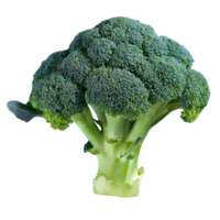 ai generato fresco broccoli isolato su trasparente sfondo png