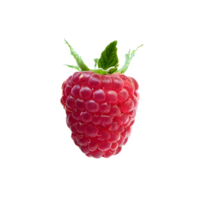 AI generated Fresh raspberry isolated on transparent background png
