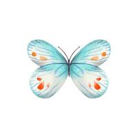 Hand drawn abstract butterfly in blue,red tones on a white background vector
