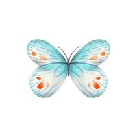 Hand drawn abstract butterfly in blue,red tones on a white background vector