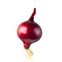 AI generated Fresh red onion isolated on transparent background png