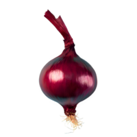 AI generated Fresh red onion isolated on transparent background png