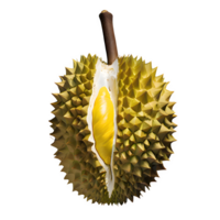 ai generiert reif Durian Obst isoliert auf transparent Hintergrund png