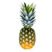 ai gegenereerd vers ananas geïsoleerd Aan transparant achtergrond png