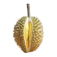 ai generiert reif Durian Obst isoliert auf transparent Hintergrund png