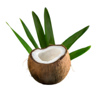 AI generated Coconut with leaves isolated on transparent background png