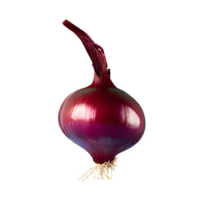 AI generated Fresh red onion isolated on transparent background png