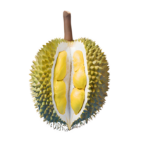 ai generado maduro Durian Fruta aislado en transparente antecedentes png