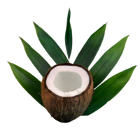 AI generated Coconut with leaves isolated on transparent background png