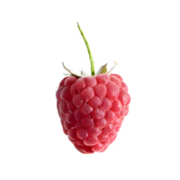 AI generated Fresh raspberry isolated on transparent background png
