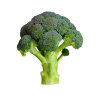 ai généré Frais brocoli isolé sur transparent Contexte png