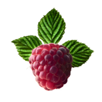 AI generated Fresh raspberry with leaves isolated on transparent background png