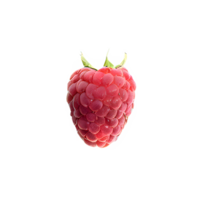 AI generated Fresh raspberry isolated on transparent background png