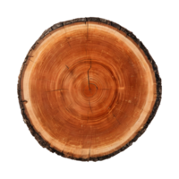 AI generated Old tree slice on transparent background png