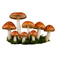 AI generated Mushrooms on transparent background isolated png