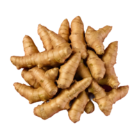 AI generated Ginger root transparent background isolated png