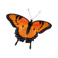 AI generated Orange and black butterfly isolated png