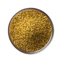AI generated Indian ayurvedic medicine for blood sugar and hair damage control featuring fenugreek on a transparent background isolated png