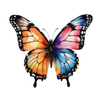 ai généré coloré papillon peint avec aquarelles isolé sur transparent Contexte adapté pour conception et cartes postales isolé png