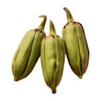 AI generated Three cardamom pods on transparent background isolated png