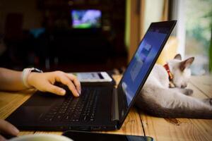 mujer utilizando ordenador portátil trabajando y bebida café taza caliente a hogar foto