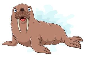 Cartoon walrus isolated on white background vector