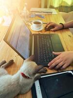 Women using working and drink coffee cup hot at home photo