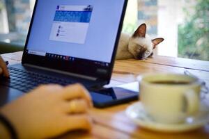 mujer utilizando ordenador portátil trabajando y bebida café taza caliente a hogar foto