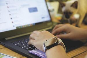 Women using laptop working at home photo