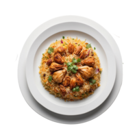 AI generated Top view photograph of your Chicken Biryani presented in a white plate Pro PNG