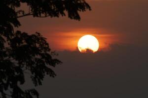 The sun set on a large circle, radiating a golden orange glow. with blurry trees silhouette in the foreground photo