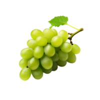 ai generato verde uva fresco uva su il vite no sfondo png