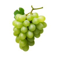 ai generado verde uvas Fresco uvas en el vino No antecedentes png