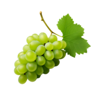 AI generated Green Grapes Fresh Grapes on the Vine No Background png