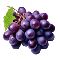 AI generated Fresh Grapes Purple Grapes Grapes on the Vine No Background png