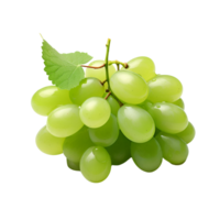 ai généré vert les raisins Frais les raisins sur le vigne non Contexte png