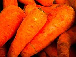 rojo zanahorias verduras, madeira isla porto da cruz foto