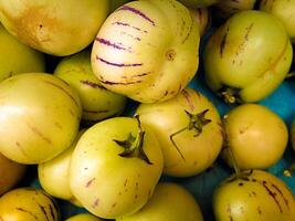 Yellow Melon, Madeira Island Fruit Porto da Cruz photo