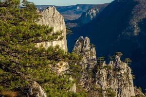 tara parque montañas en serbia foto