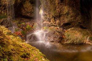 forest waterfall in sunlight with autumn leaves photo