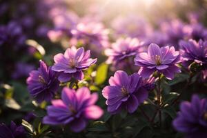 AI generated Violet Flower Wallpaper photo