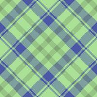 Plaid pattern vector. Check fabric texture. Seamless textile design for clothes, paper print. vector